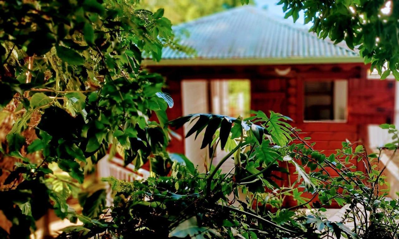 Gite Mamour - Charmant Petit Bungalow A Decouvrir Baillif 외부 사진